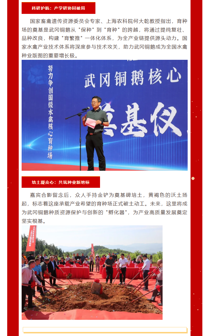 湖南伟业集团,伟业动物,猪场管理,非常规饲料原料开发,饲料